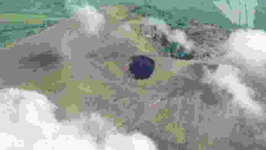 The crater of Las Pilas volcano