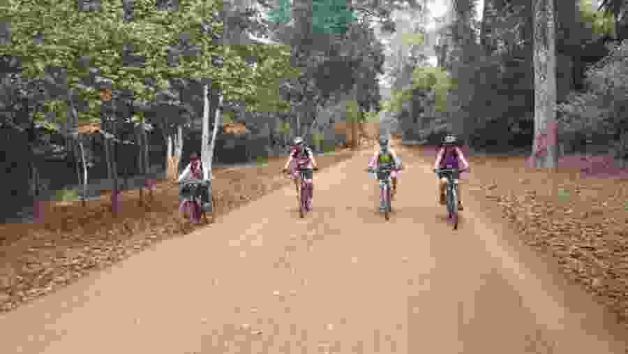 Cycle Through Angkor Wat Temple
