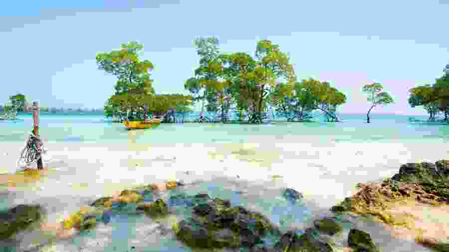 Beach Life in the Havelock Islands