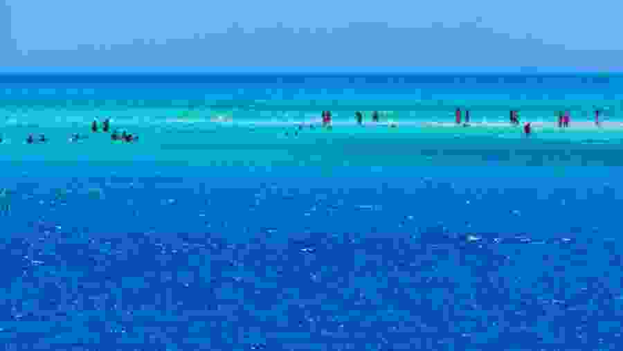 Travelers on White Island