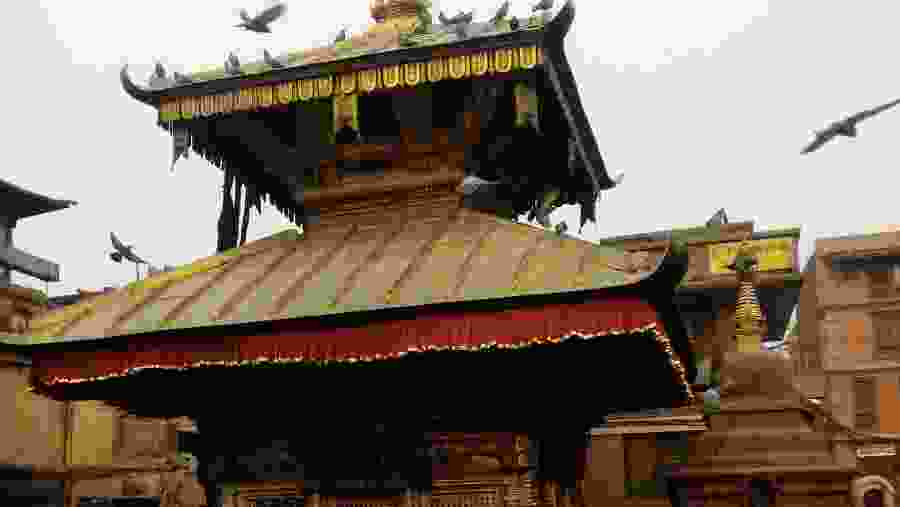 Pashupatinath temple