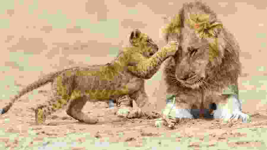 Serengeti National Park