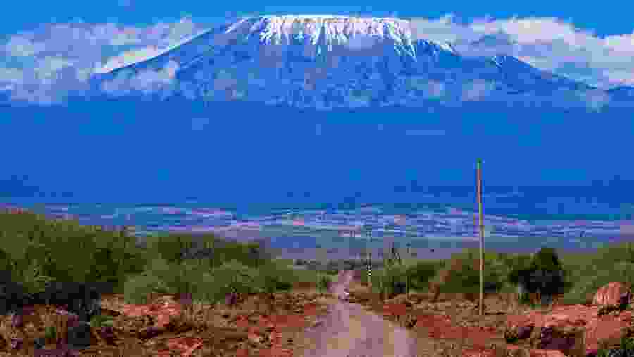Hike at the scenic Mount Kilimanjaro