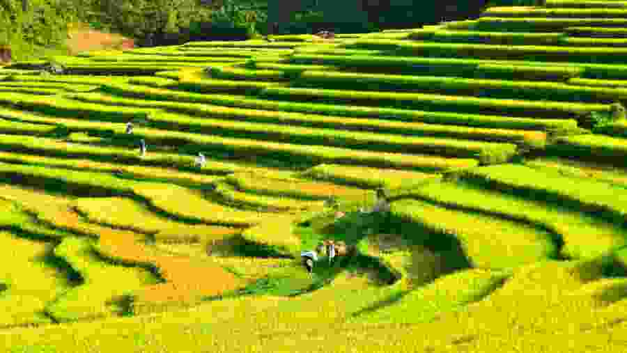 Full day exploring Pu luong