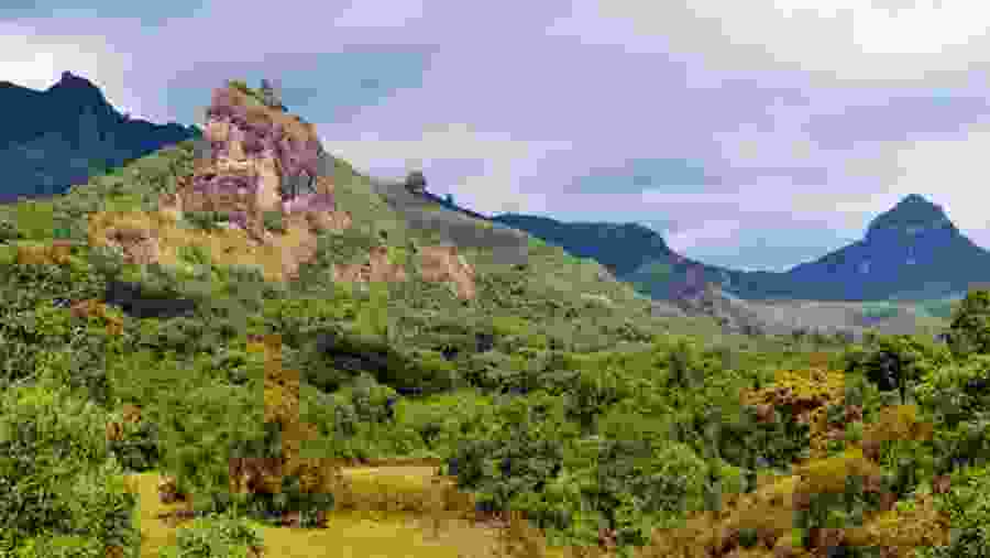 Trekking Tour To Bale Mountain