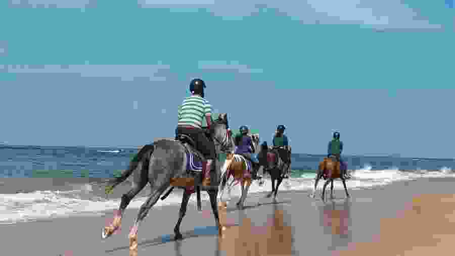 Horse Riding In Kalpitiya