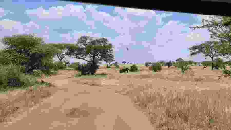 Serengeti National Park