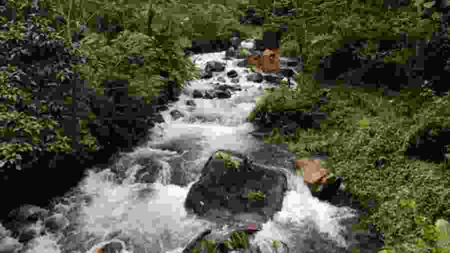 Spot Waterfall