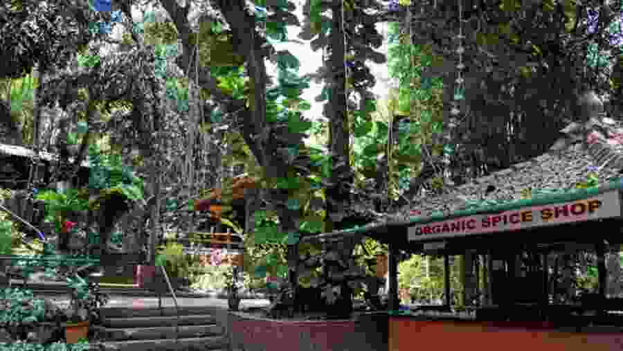 Check out an organic spice shop near Panaji City