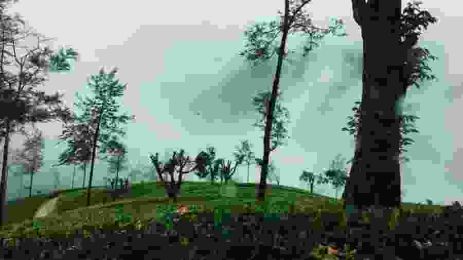 Sri Lankan Hill Station