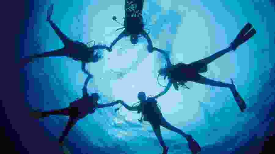 Travelers snorkeling in the Blue Hole