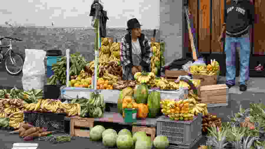 Farmers market in Andes