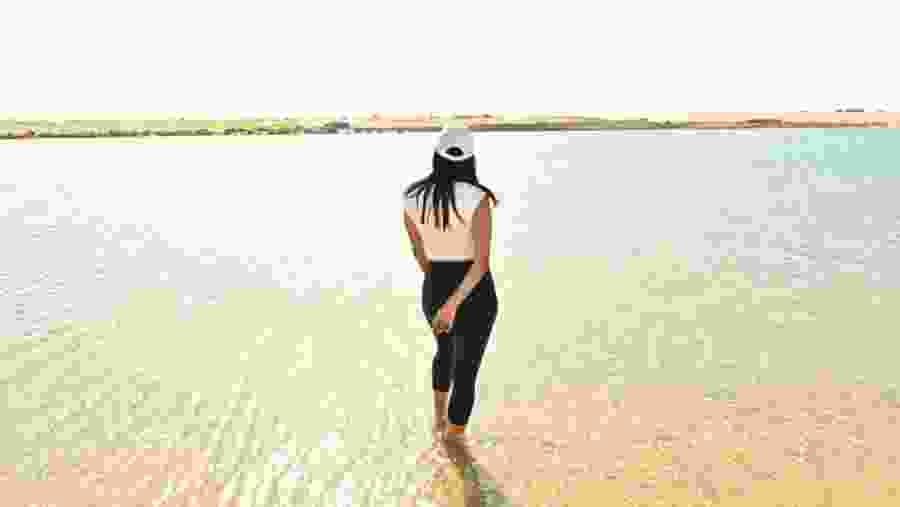 Travelers in the desert