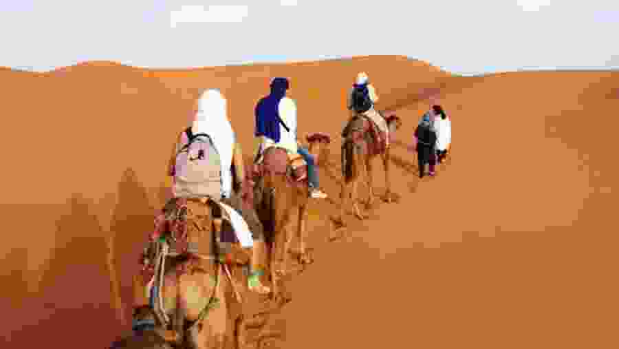 Enjoy camel rides on Sahara Erg chebbi dunes