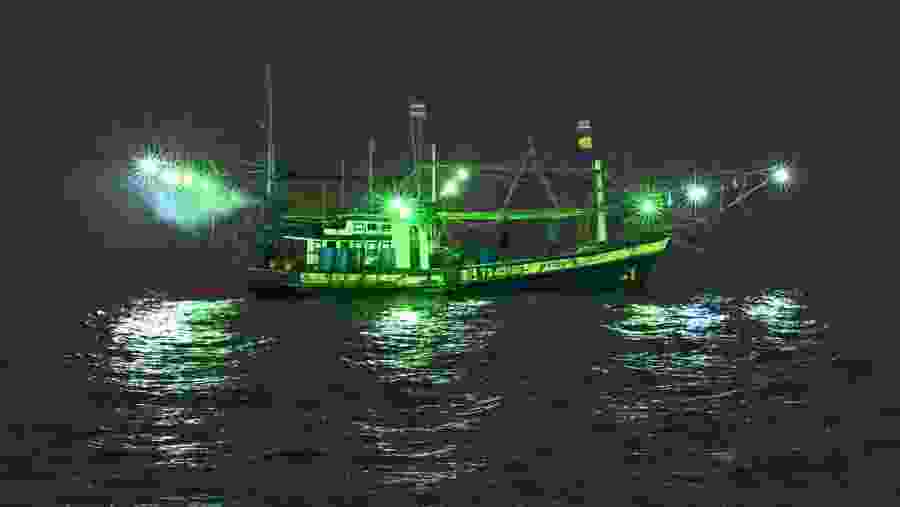 Squid Fishing in Vladivostok