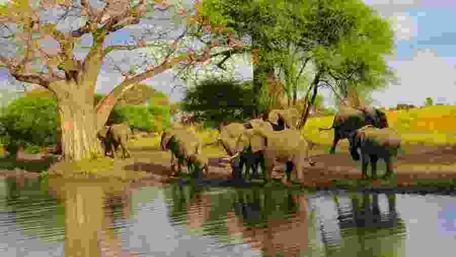 Tarangire National Park