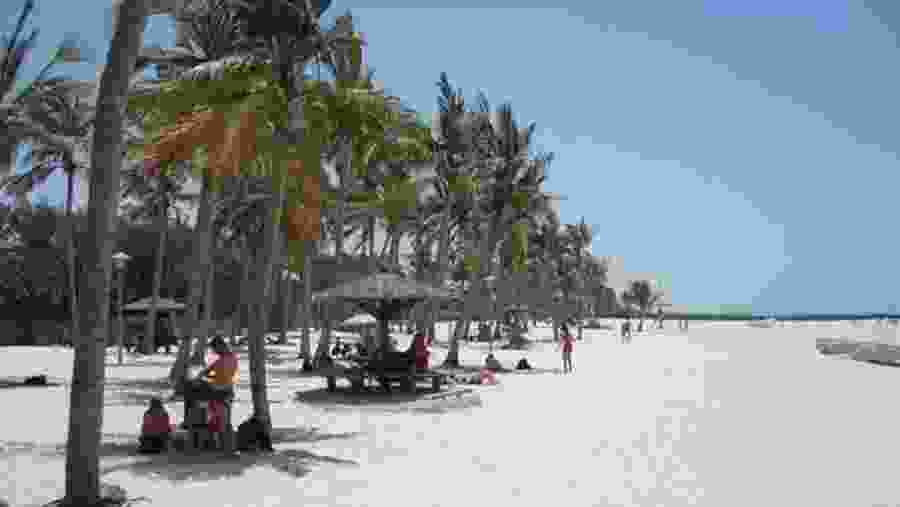 Stroll Through the Beautiful Jumeirah Beach