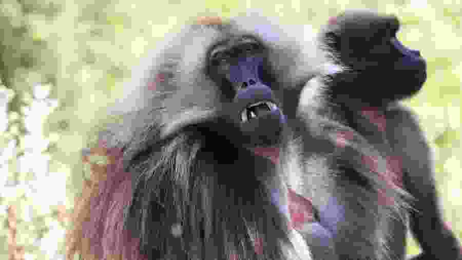 Ethiopia Grand Expedition