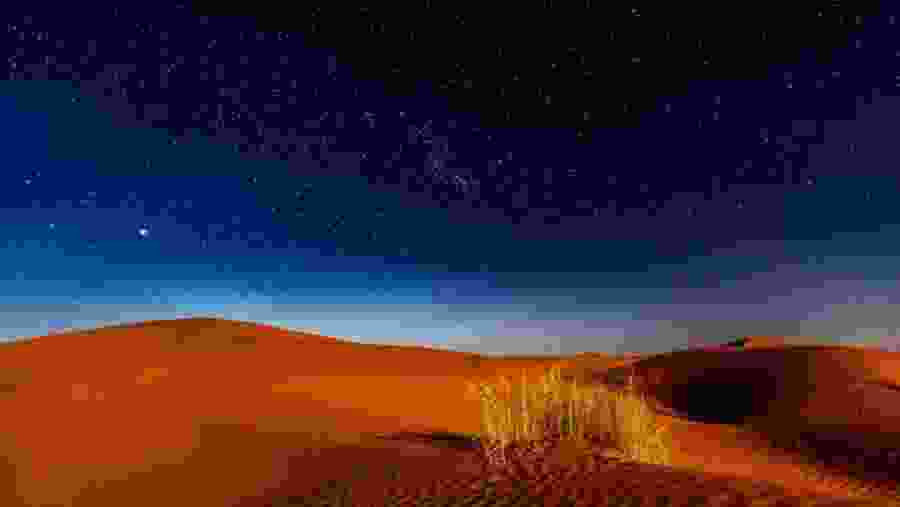 Nighttime Desert Safari