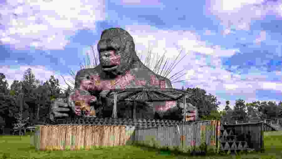 Rwanda Gorilla Safari