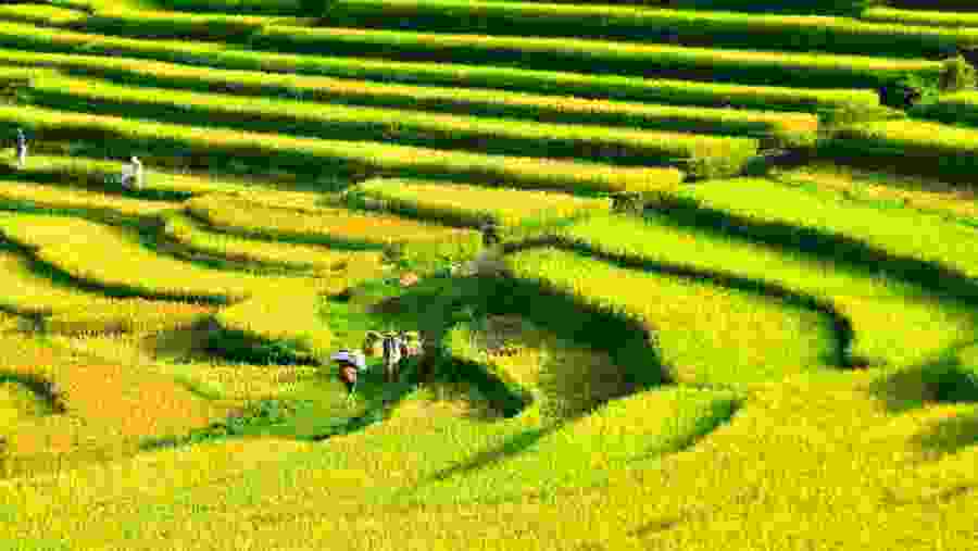 Pu Luong trekking tour