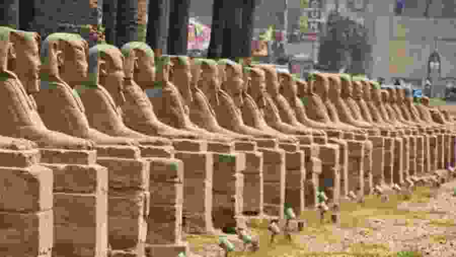 Avenue of Sphinxes