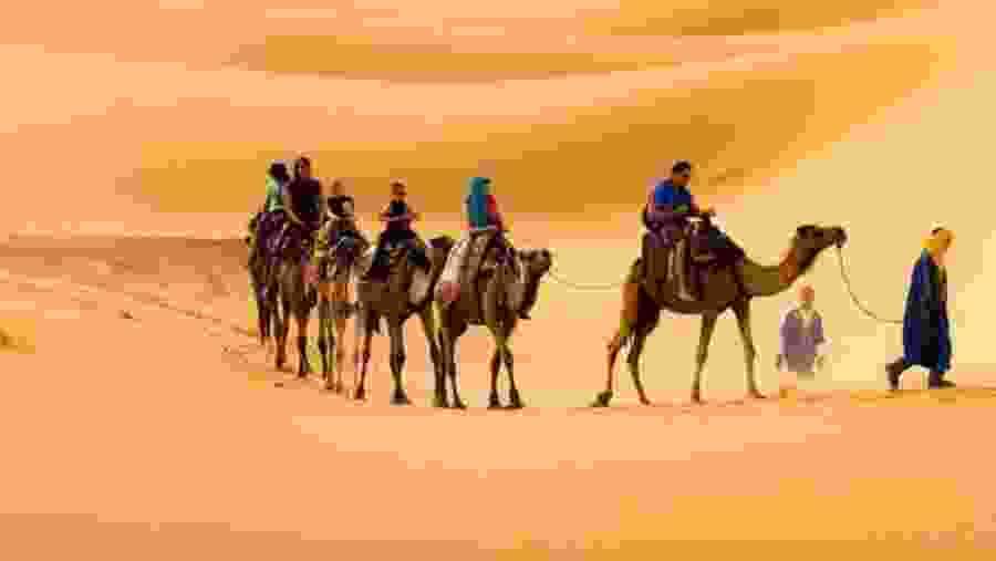 Camel Ride in Erg Chebbi Desert, Morocco