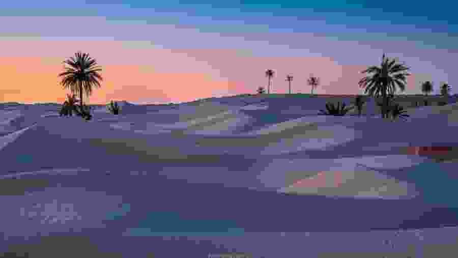 Desert