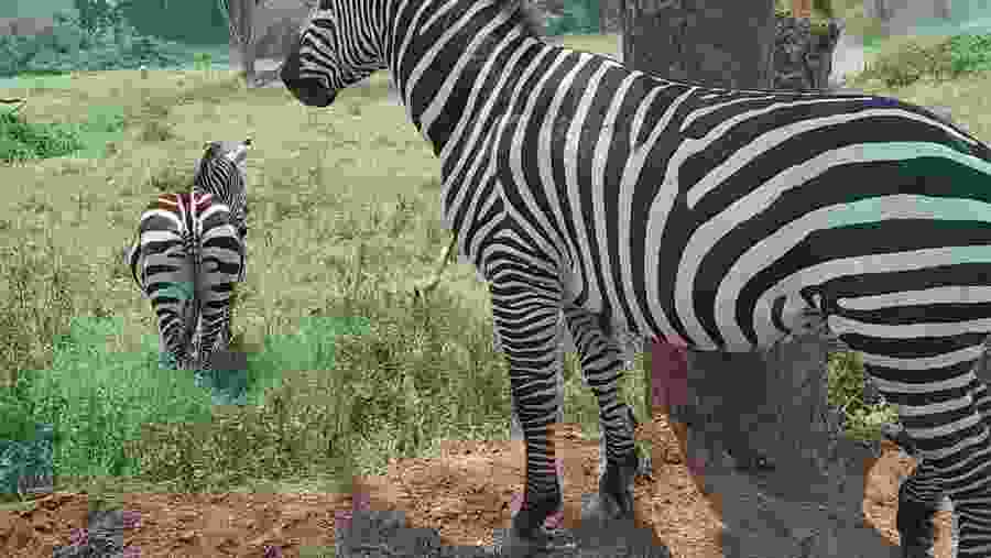 Kenya’s Great Rift Valley