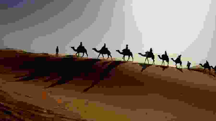 Camel ride in Erg Chebbi