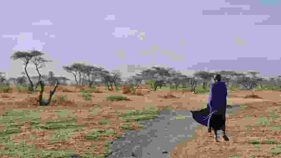 Scenic landscapes of Serengeti National Park