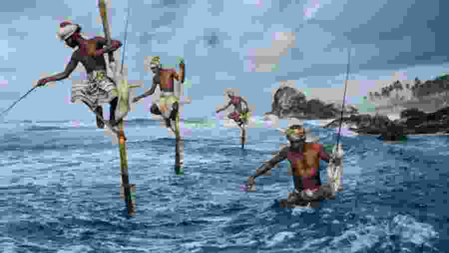 Fishermen Catching Fish Traditionally