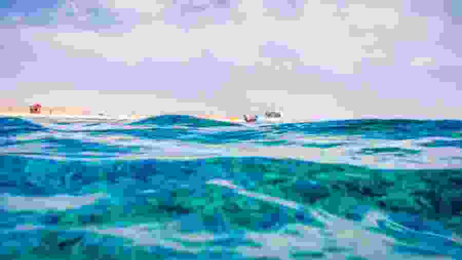 Ras Mohamed Nature Reserve