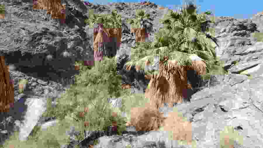 Venture to Palm Springs