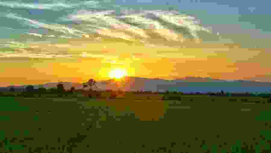 Horizon in all the beautiful shades