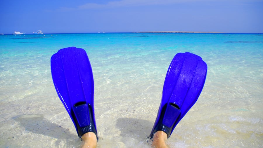 Snorkel In The Red Sea