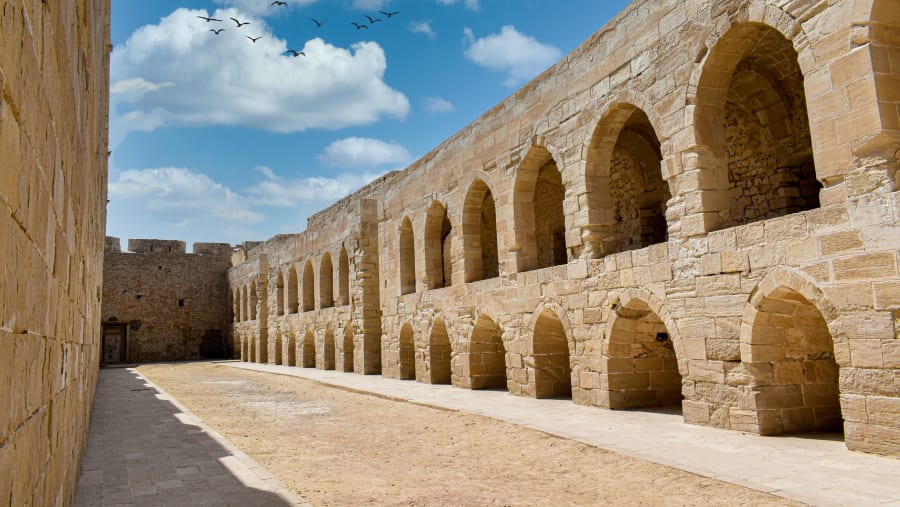 Visit the highlights of Alexandria