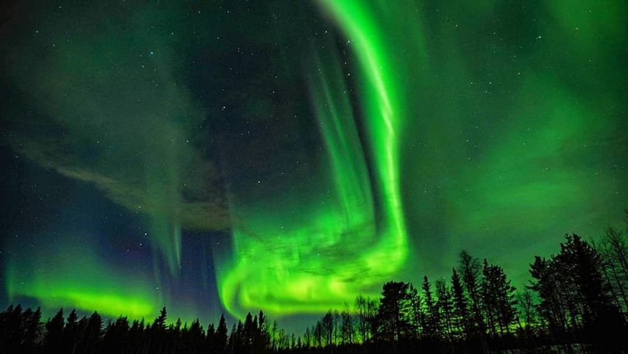 Aurora