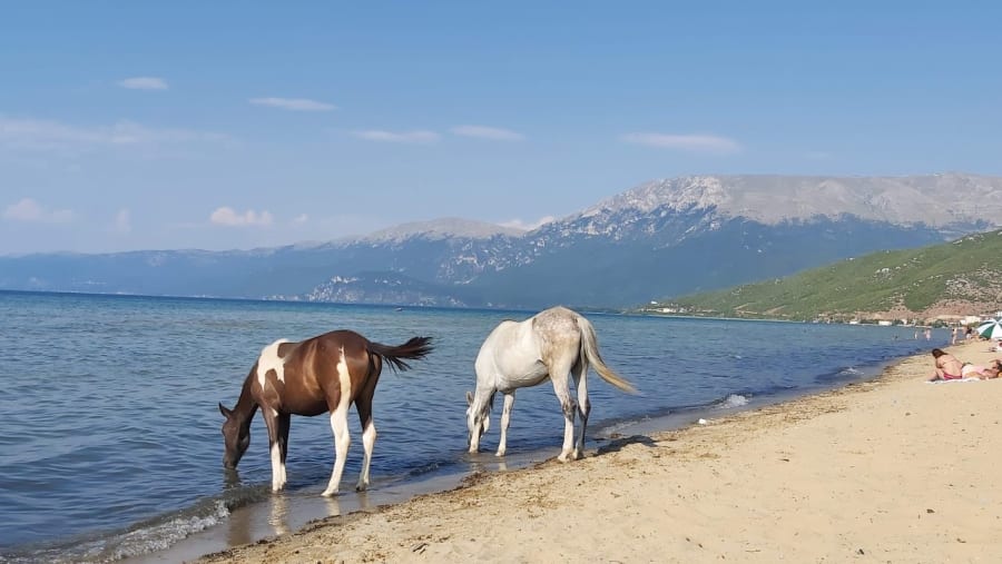 Ohrid Lake