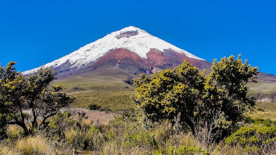 Cotopaxi