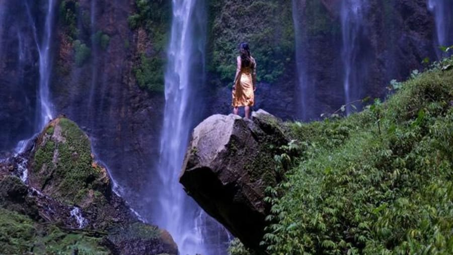 Admire the Madakaripura Waterfall