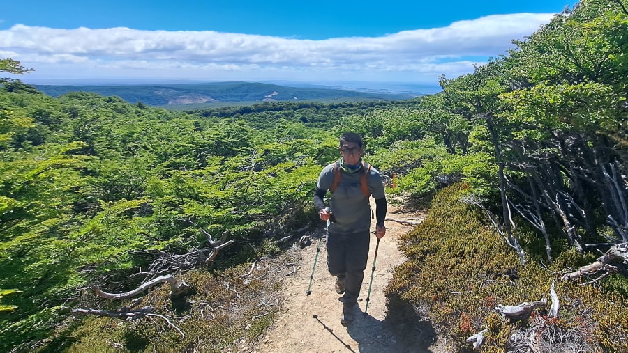 Travellers in Patagonian Forest