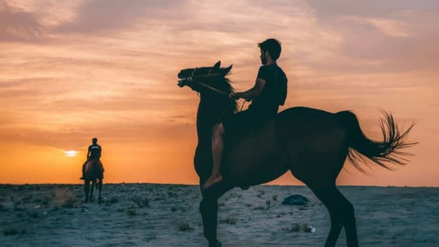 Horse Riding