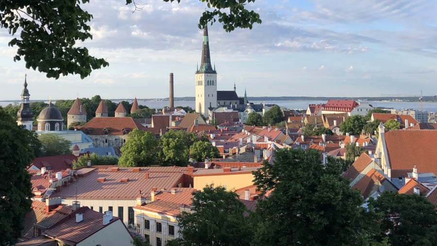 Marvel at the Tallinn old town