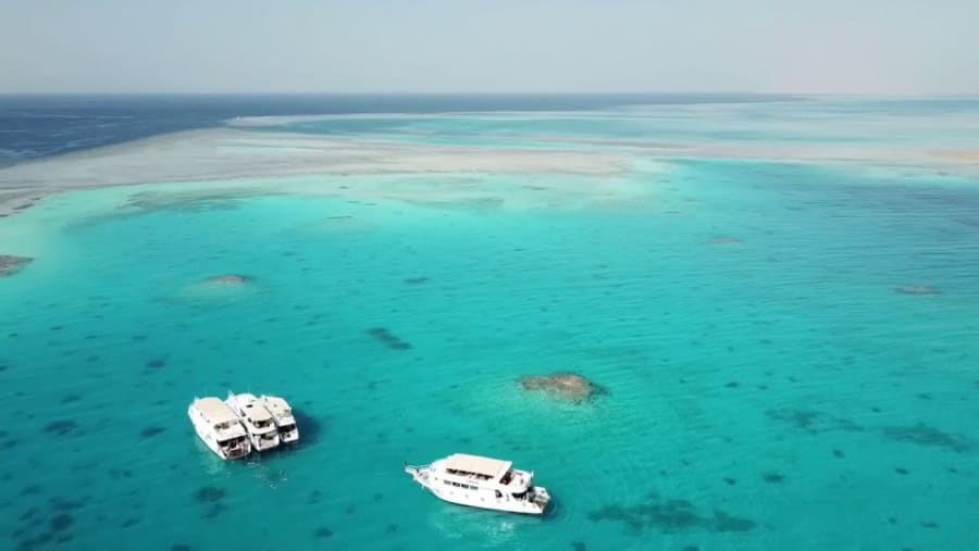 Paradise Island