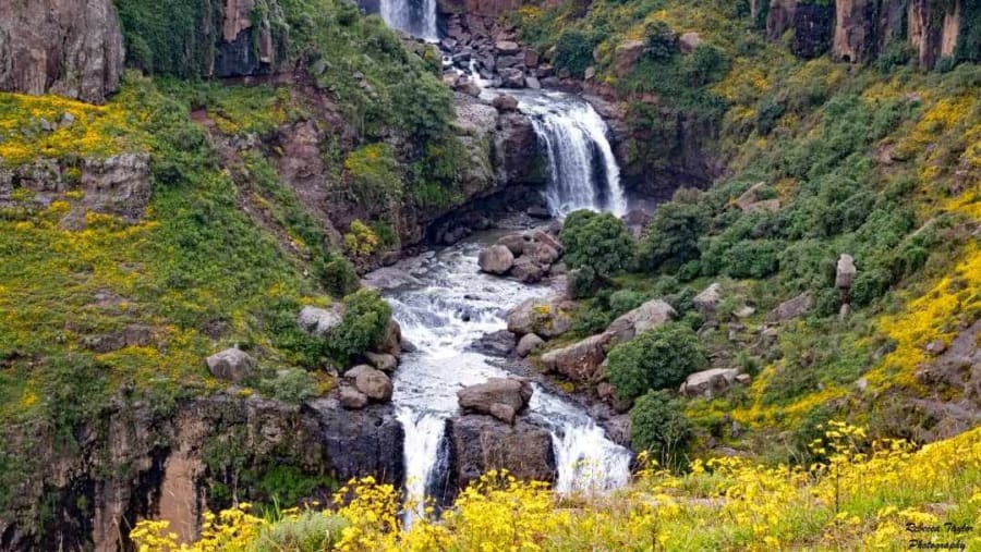 Simien Adventure