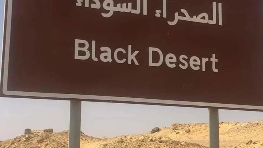 Black Desert