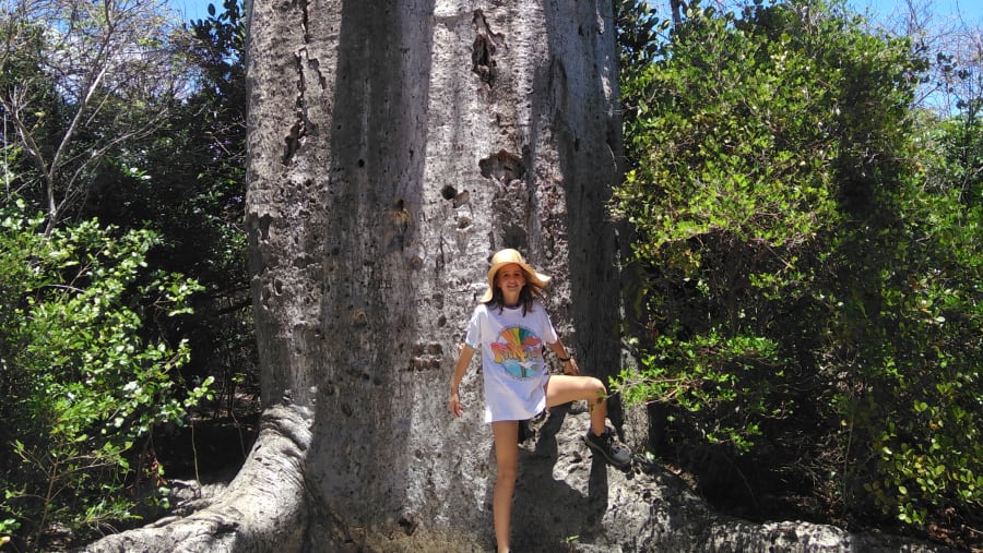 Stroll around scenic forests