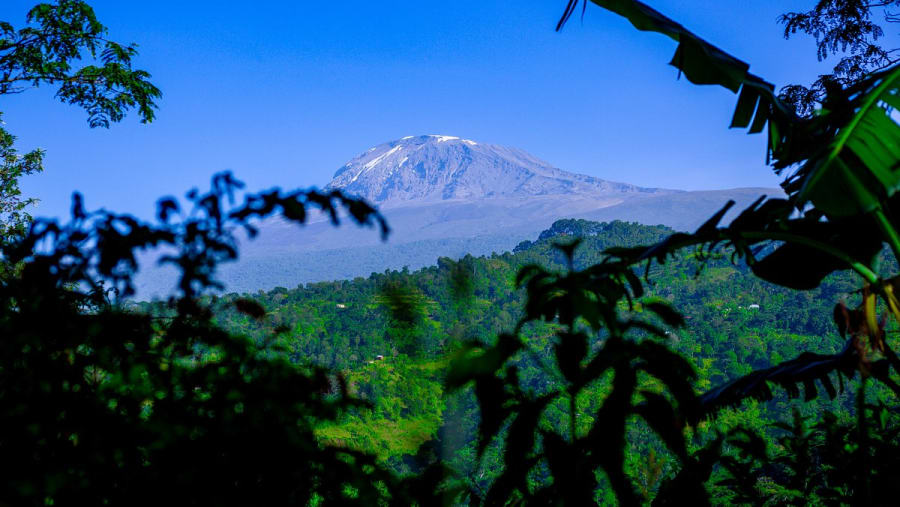 Tour of Materuni Waterfalls and Coffee Experience