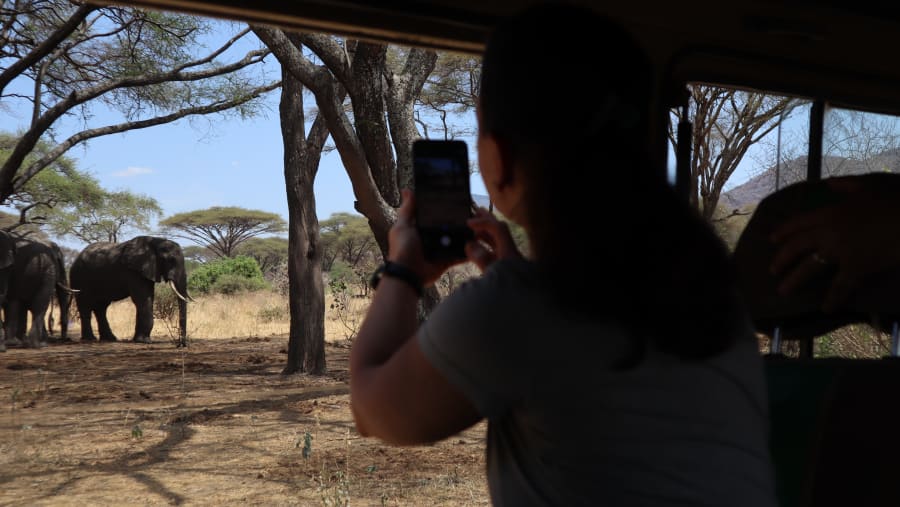 Guest on Game drive in Tarangire National Park